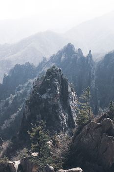 Scenic view of a mist-covered mountain range with rugged rocks and trees in Gangwon-do, South Korea.