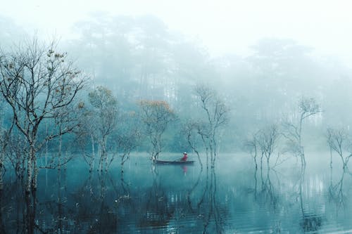 Foto profissional grátis de água, árvores, Ásia