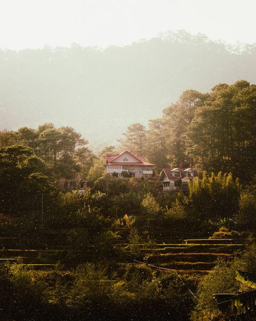 Free Elegant mansion nestled in a serene forest landscape during summer. Stock Photo