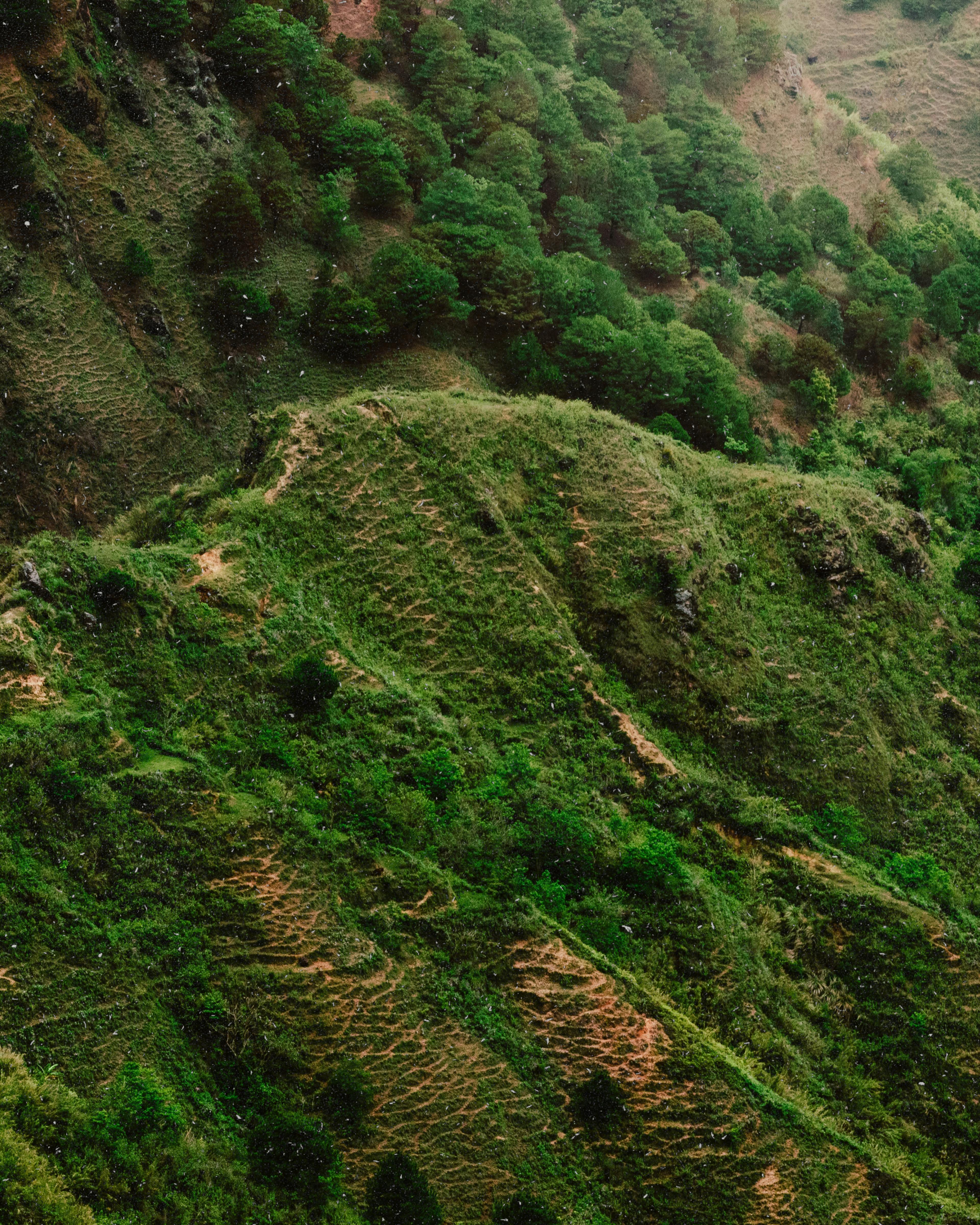 Vibrant green hills under a summer sky, showcasing a lush and scenic valley view.