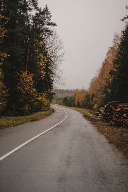 Free Empty country road winding through an autumn forest with golden foliage. Stock Photo