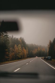 Autumn leaves on a scenic road through a misty forest, perfect for travel vibes.