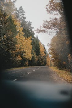 A tranquil road winding through a colorful autumn forest, perfect for a peaceful journey.