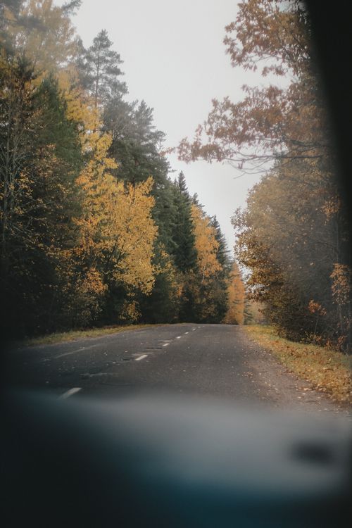 Free A tranquil road winding through a colorful autumn forest, perfect for a peaceful journey. Stock Photo