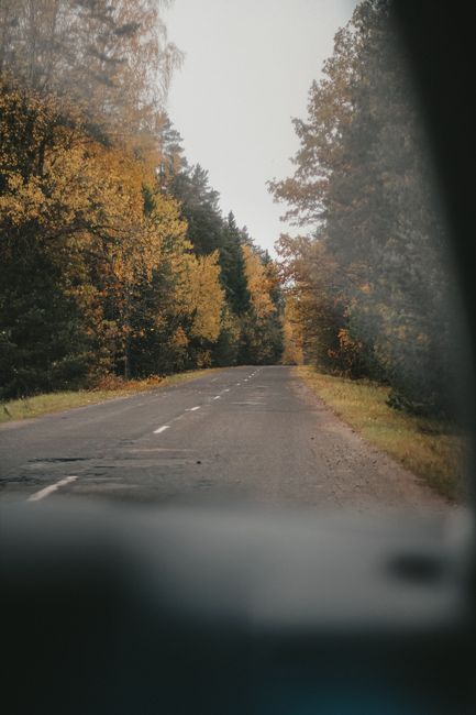 A picturesque road lined with colorful autumn trees in a serene forest setting. Perfect for travel themes.