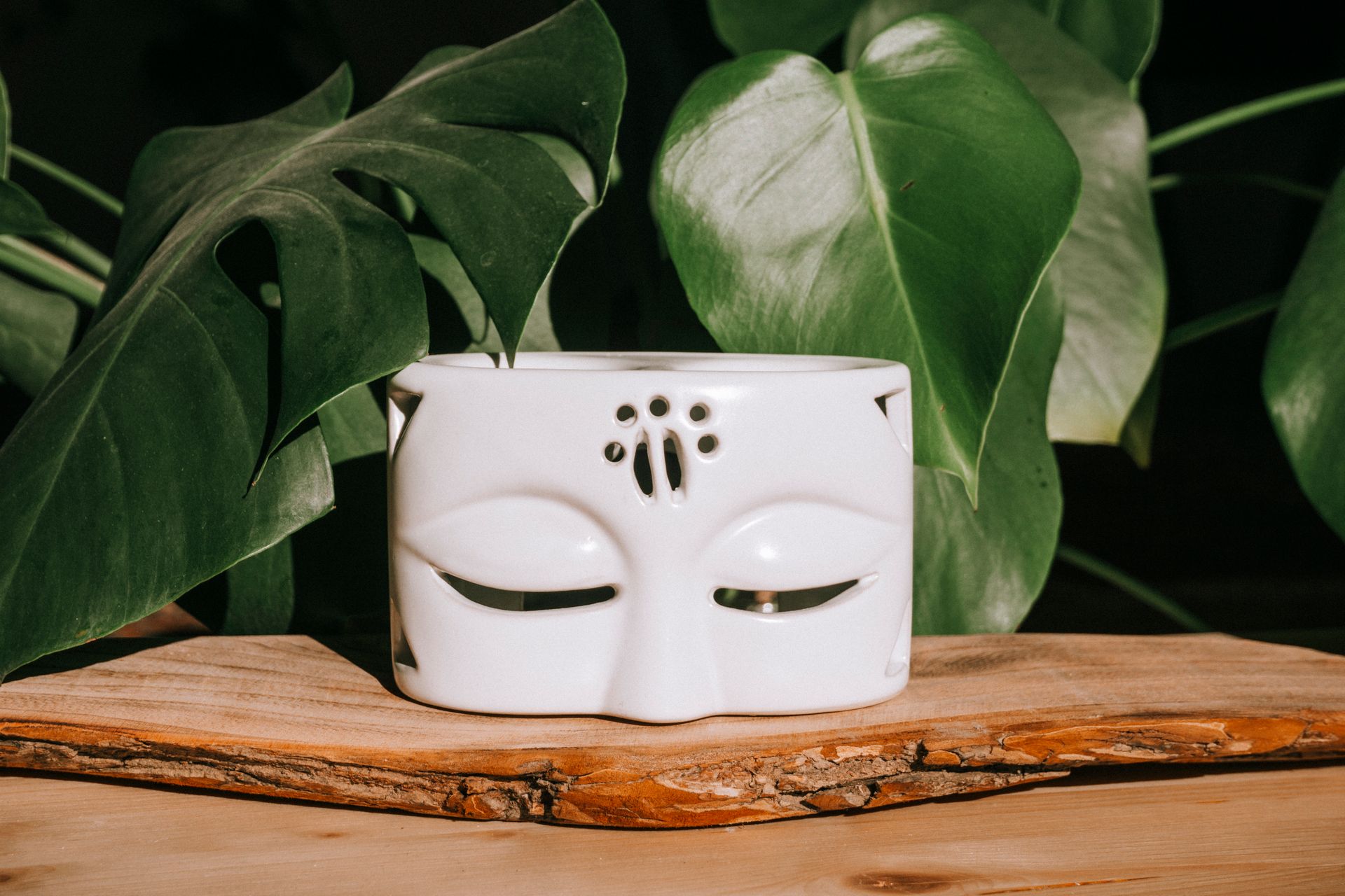 Elegant ceramic pot with monstera leaves, perfect for tropical home decorations.