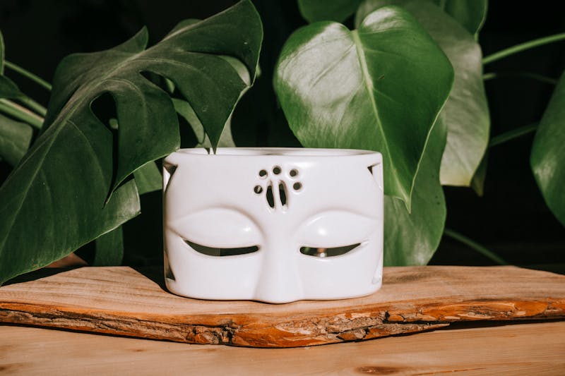 Statement Planter Entry