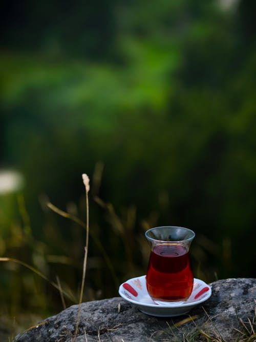 Free stock photo of forest, tea, turkey