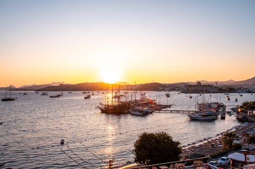 Δωρεάν στοκ φωτογραφιών με bodrum, muğla, γαλοπούλα