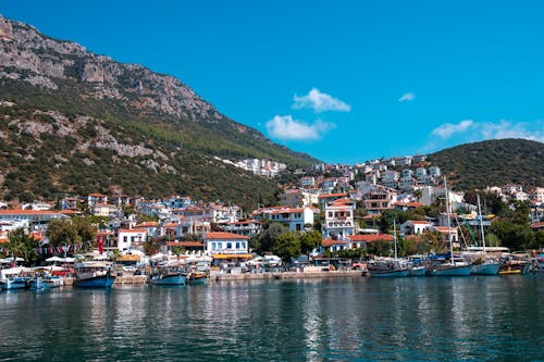 Ingyenes stockfotó antalya, izom, pulyka témában