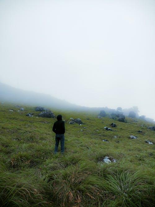 Foto stok gratis bidang, kabut, kedudukan