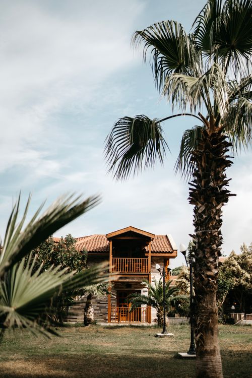 Free Beautiful wooden house surrounded by lush palm trees under a bright sky. Stock Photo
