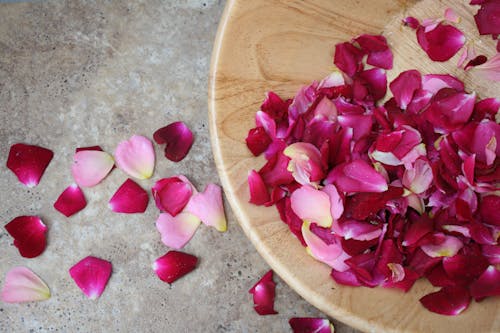 Gratis arkivbilde med blomsterblad, bolle, rosa