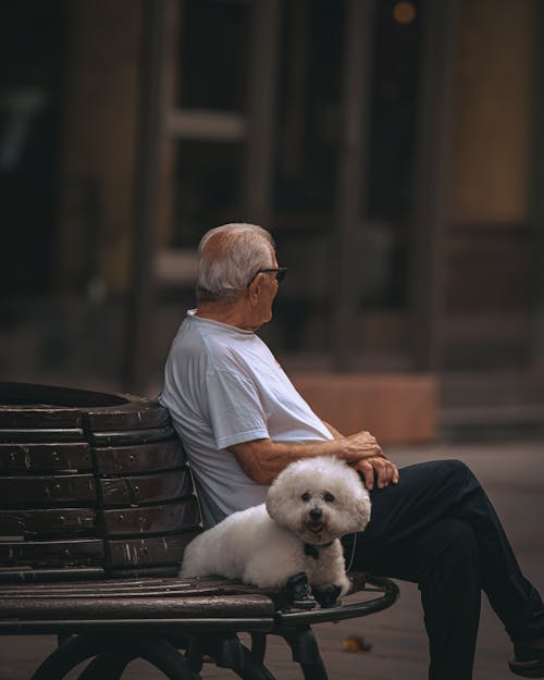 Elderly Man Sitting on a Bench with Fur Dog