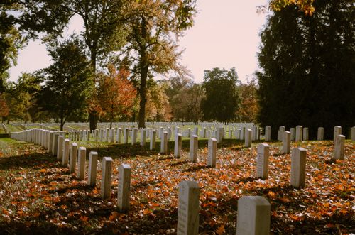 Free Autumn foliage and tombstones at Arlington National Cemetery on a sunny day. Stock Photo