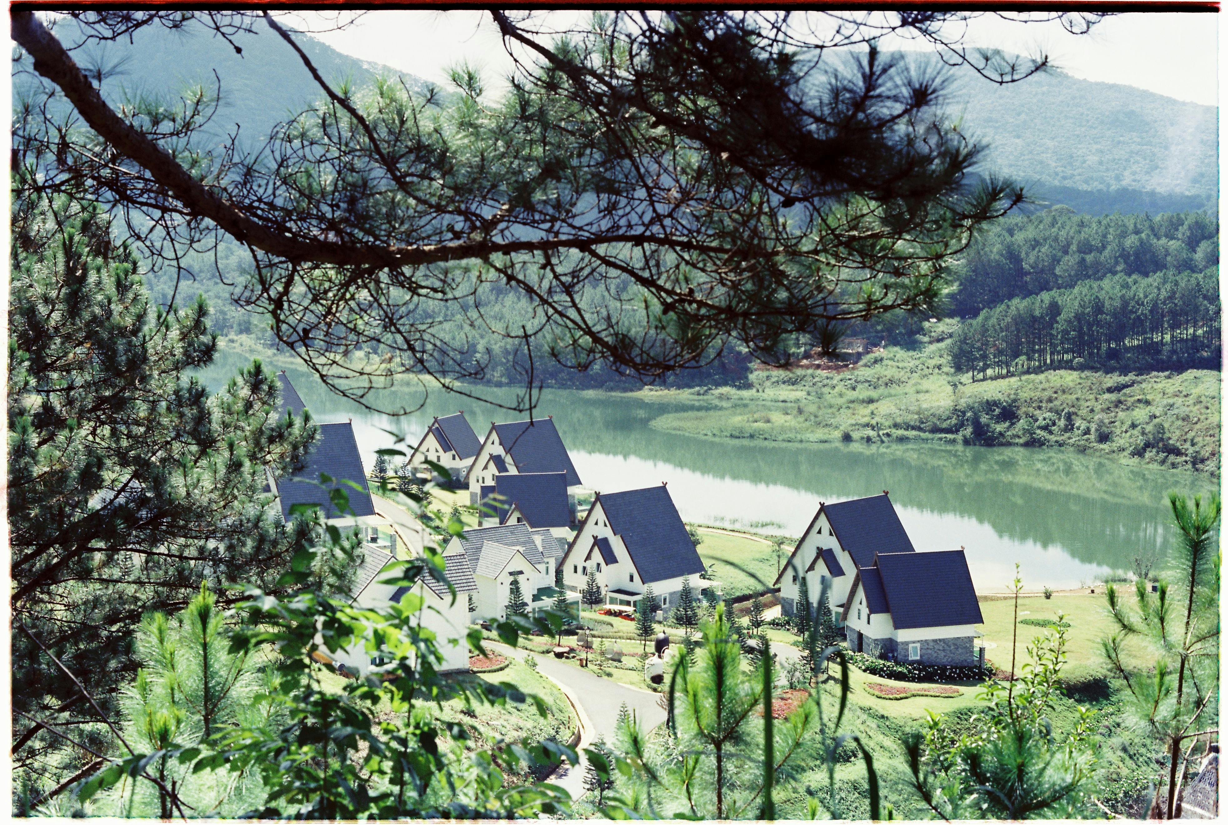 Idyllic summer landscape of houses by a lake surrounded by nature.