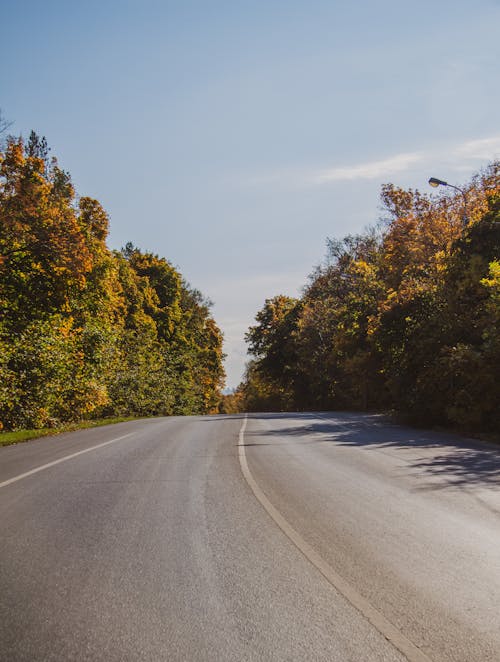 Asphalt Road in Autumn 
