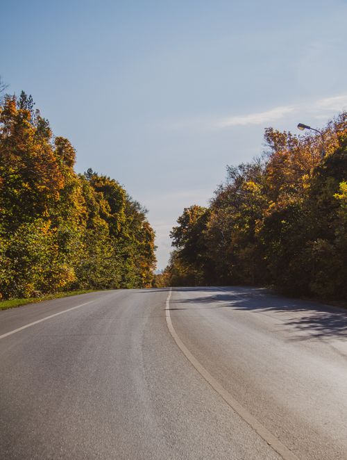 Free Winding road through a vibrant autumn forest, showcasing colorful foliage and serene atmosphere. Stock Photo