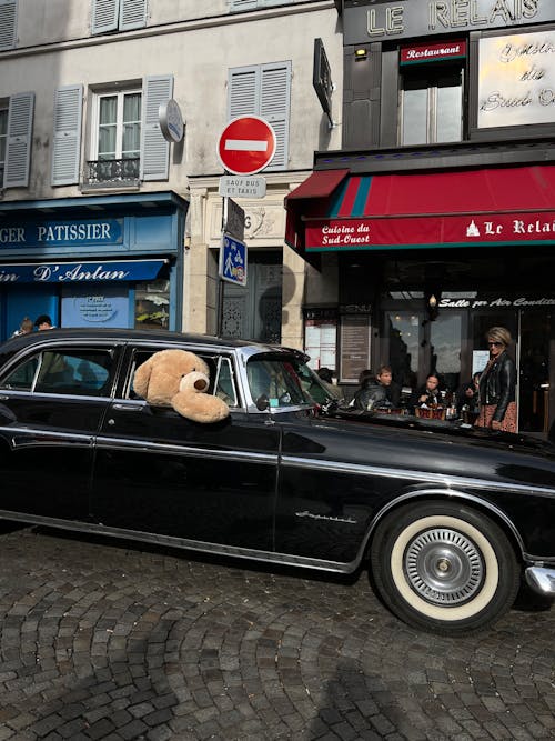 Δωρεάν στοκ φωτογραφιών με montmartre, αρκούδα, αρκουδάκι