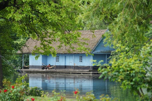 Бесплатное стоковое фото с голубой, деревья, домик