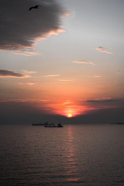 Free Serene sunset view over the ocean with silhouetted vessels and a single bird flying across the sky. Stock Photo