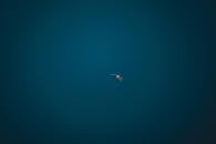 Helicopter Flying in the Sky