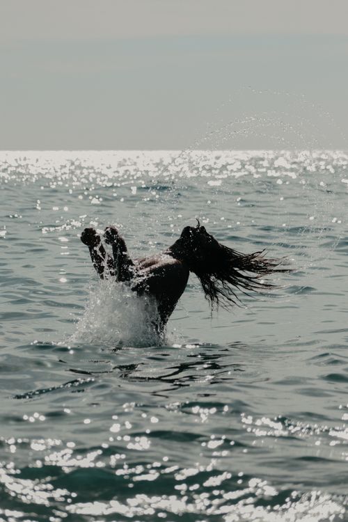 Free Captivating silhouette of a person enjoying a splash in the ocean water on a sunny day. Stock Photo