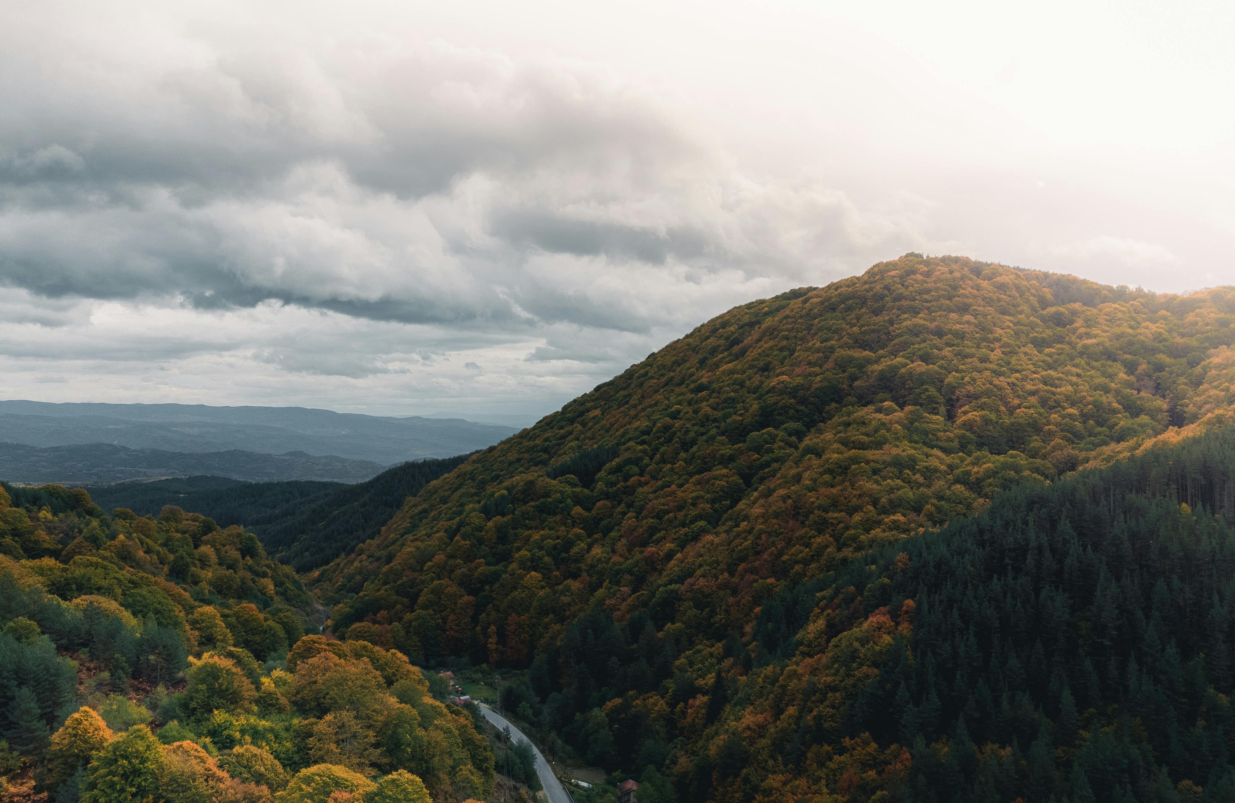 stunning light over the autumnal forest with moody clouds and a road in the bottom