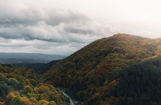 Aerial view of autumn foliage in the mountains of Брезница, Bulgaria with stunning fall colors.