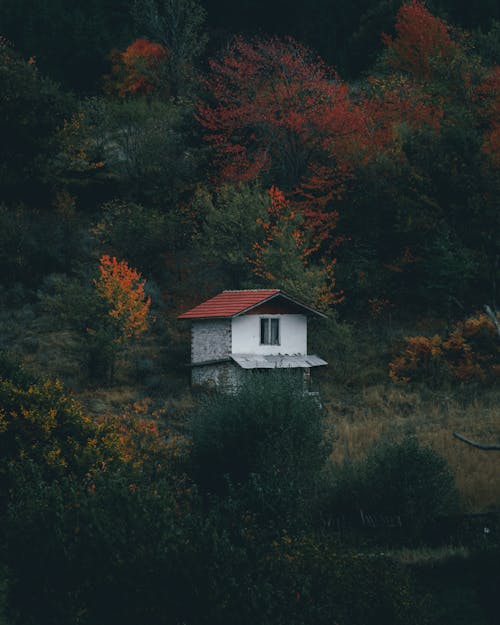 Lugar Tranquilo Com Casa Branca E Cenário Outonal.