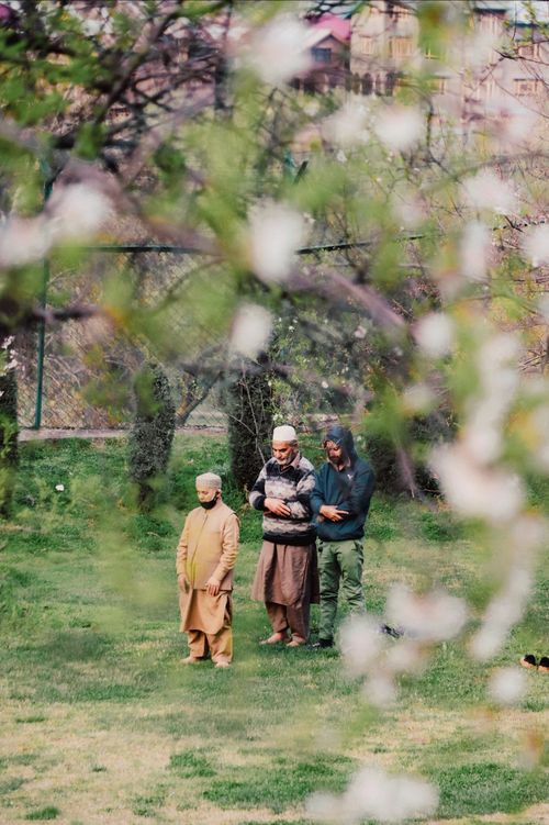 Free Three men engaged in prayer amidst blooming trees in a scenic park in Srinagar. Stock Photo