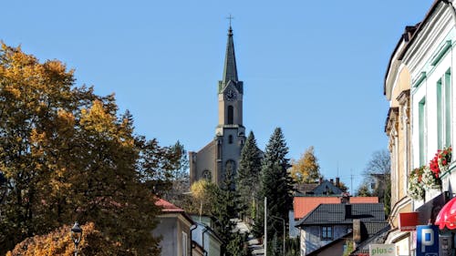 Kostenloses Stock Foto zu bäume, blauer himmel, herbst