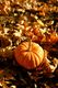 october