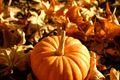october