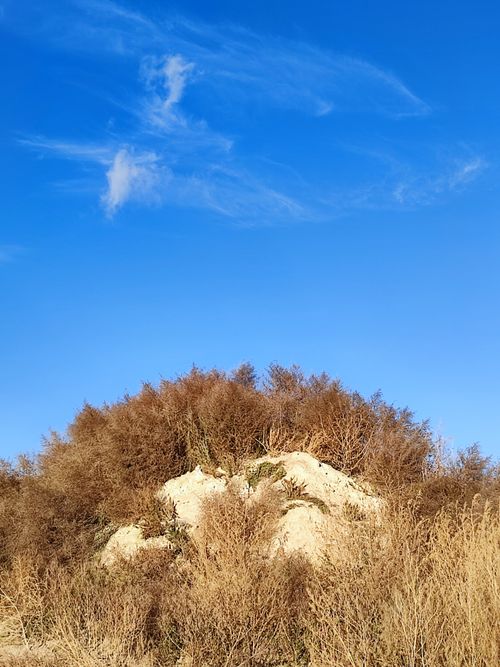 Free Tranquil scene of autumn bushes atop a hill under a clear blue sky in Žádovice. Stock Photo