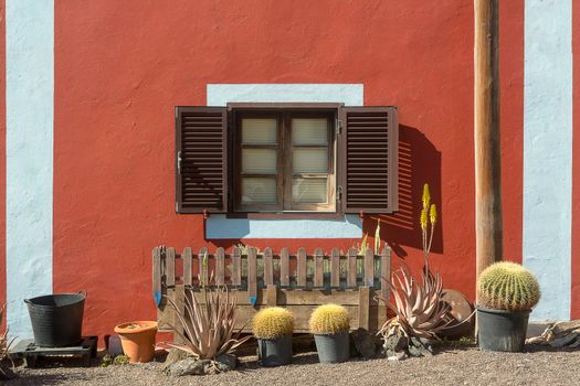 Cacti in Pots and Red Aloes Under the Window with Open Shutters