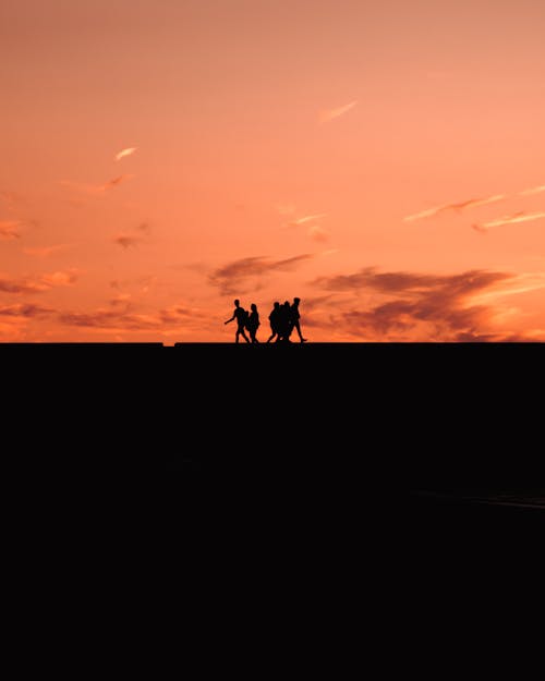 Fotobanka s bezplatnými fotkami na tému chôdza, kontrast, ľudia