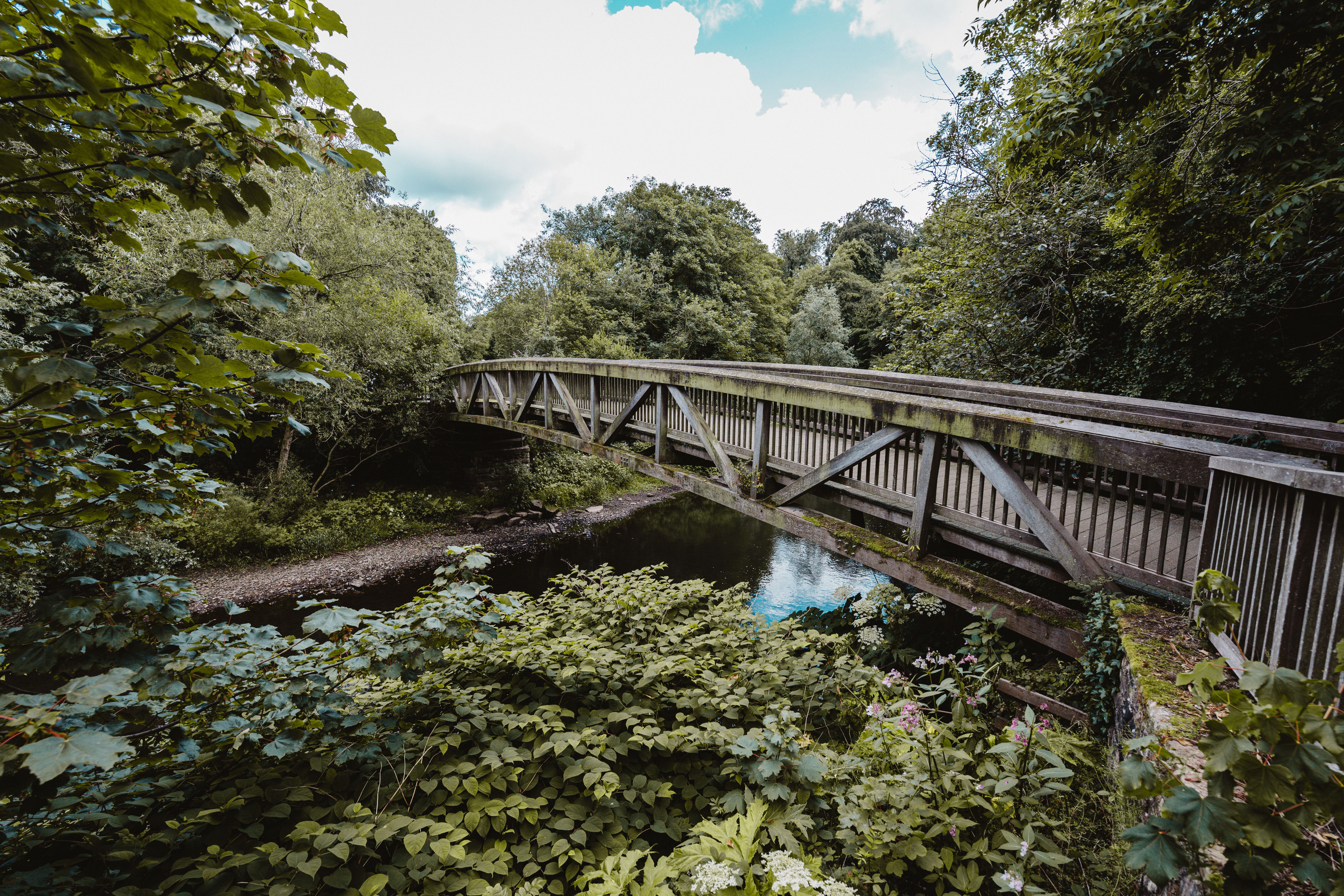 Wooden Bridge over River in Park · Free Stock Photo