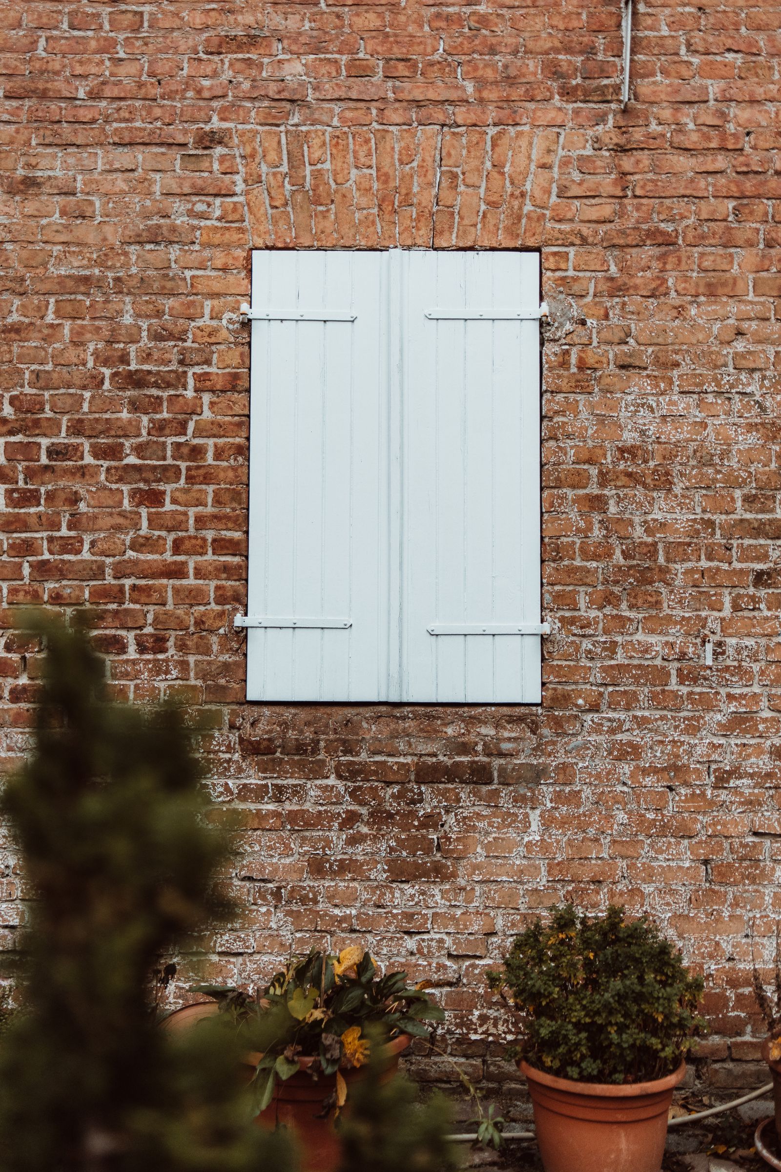 Closed Window Photos, Download The BEST Free Closed Window Stock Photos ...