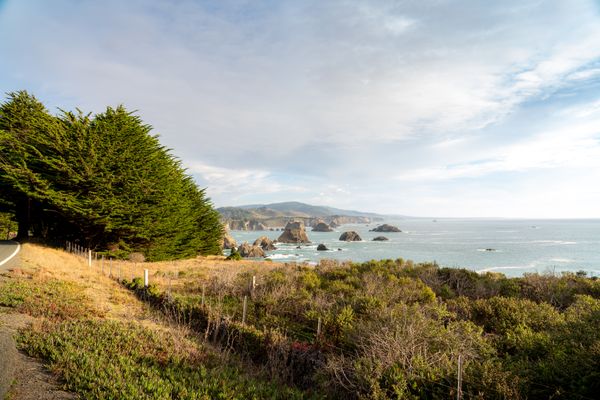 Coastal landscape with ocean view hiking trail