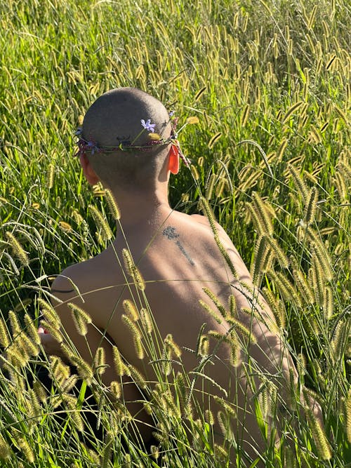 Back View of a Boy Sitting in Grass