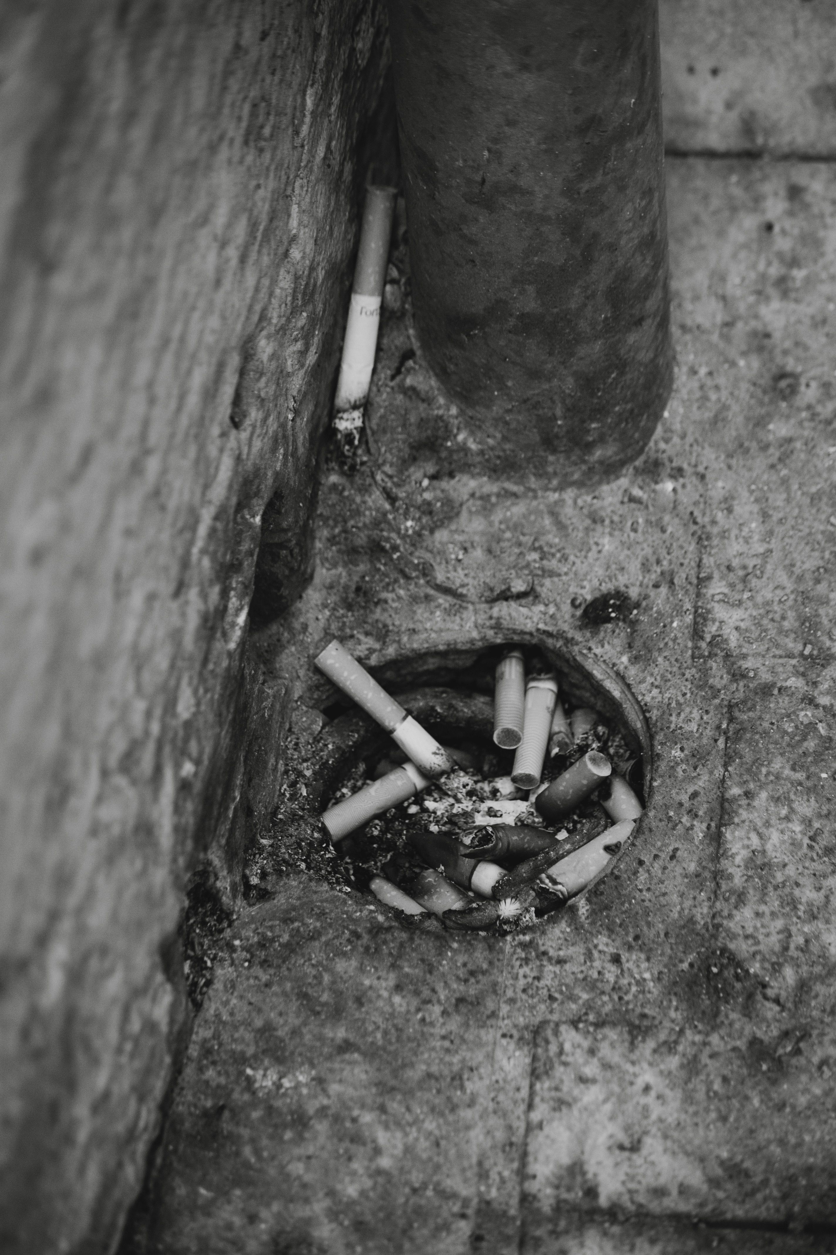 Clogged Septic System Repair in Bailey, CO