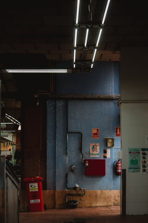 タイル, 垂直ショット, 廊下の無料の写真素材