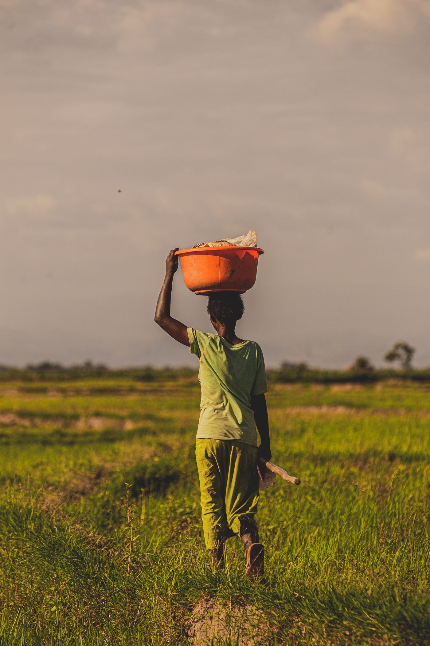 Rural woman handling agricultural residue in a Nigerian farming community