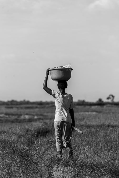 Free A woman balances a basket on her head in a rural landscape. Stock Photo