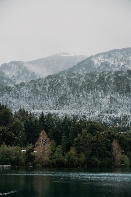 Ilmainen kuvapankkikuva tunnisteilla lumi, maisema, metsä