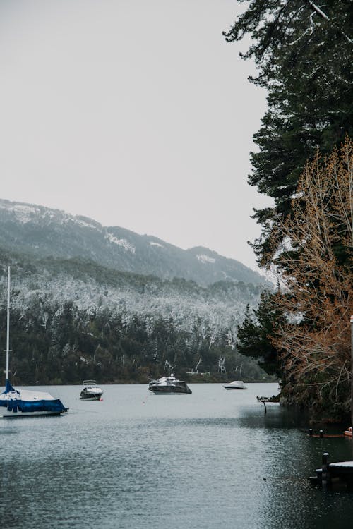 ağaçlar, dağlar, deniz aracı içeren Ücretsiz stok fotoğraf