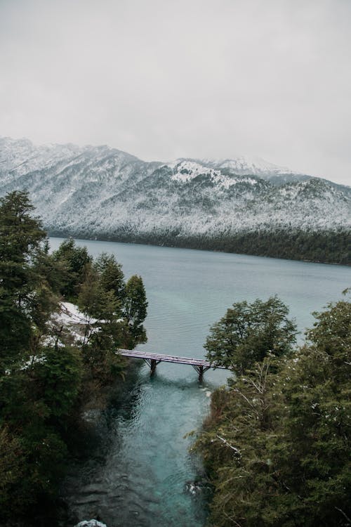 Foto d'estoc gratuïta de arbres, Argentina, correntoso