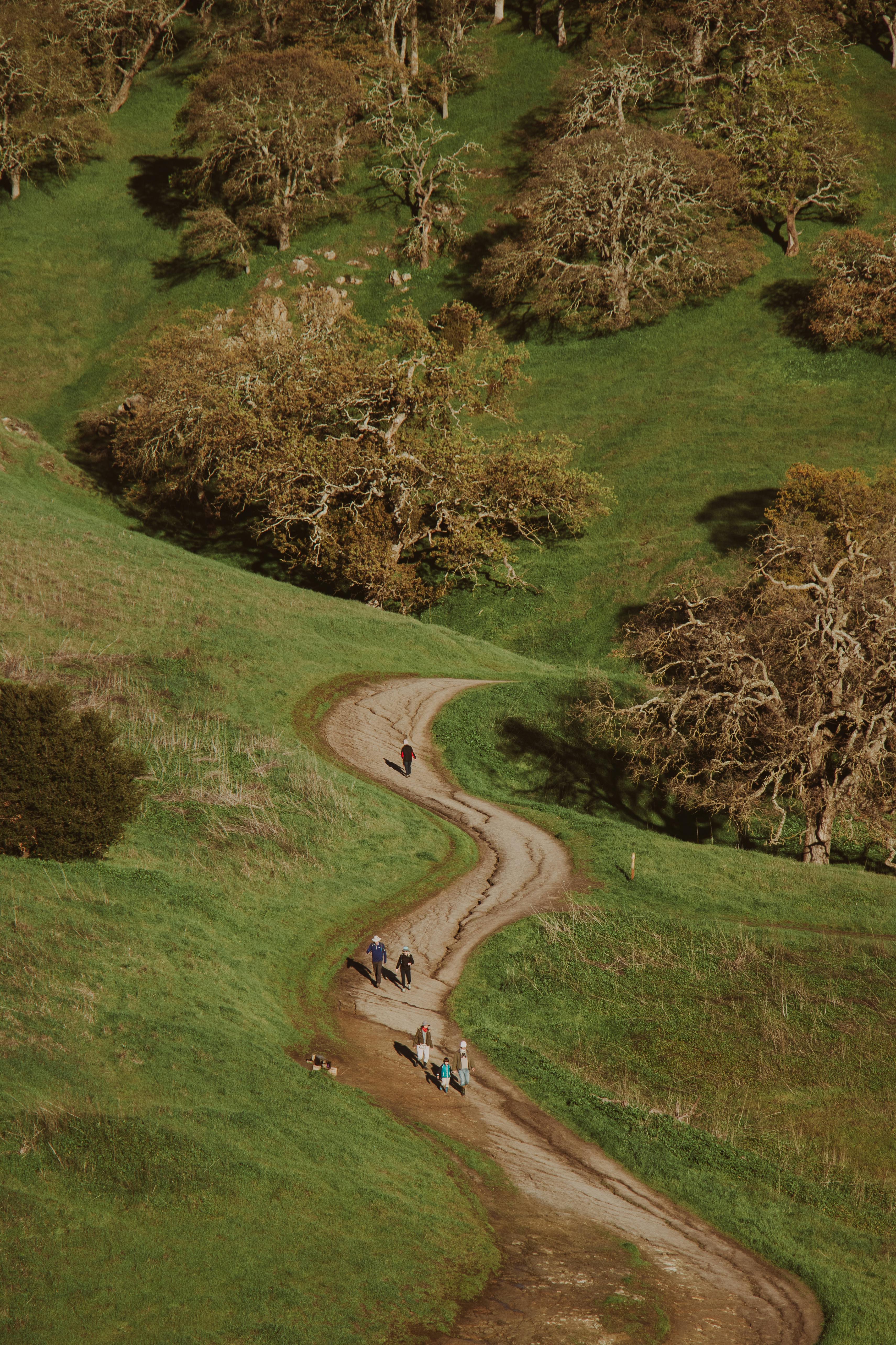 Aerial view of a scenic winding footpath surrounded by lush greenery and trees in summer.