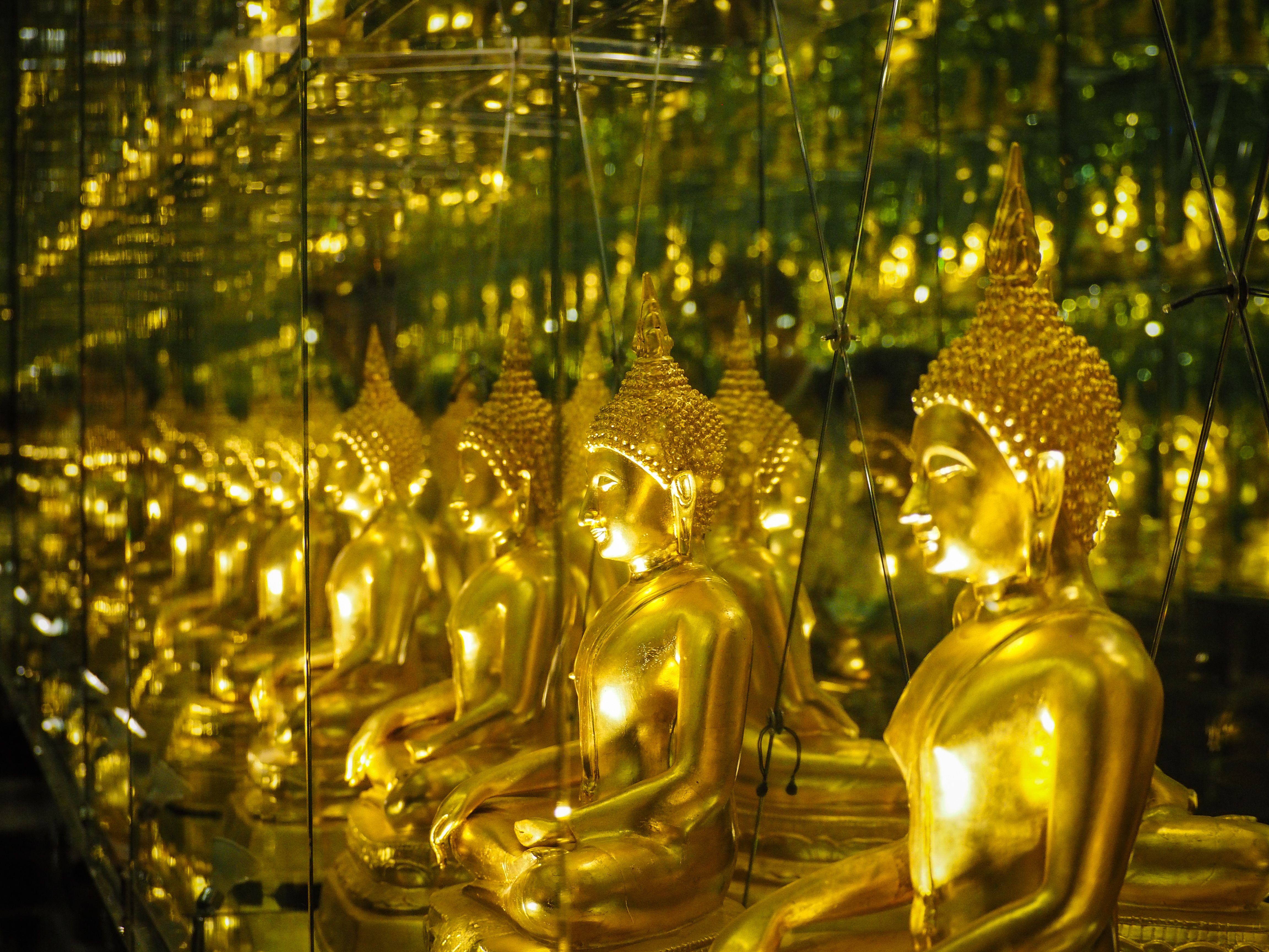 Golden Buddha statues with reflections creating a mesmerizing visual in a temple setting.